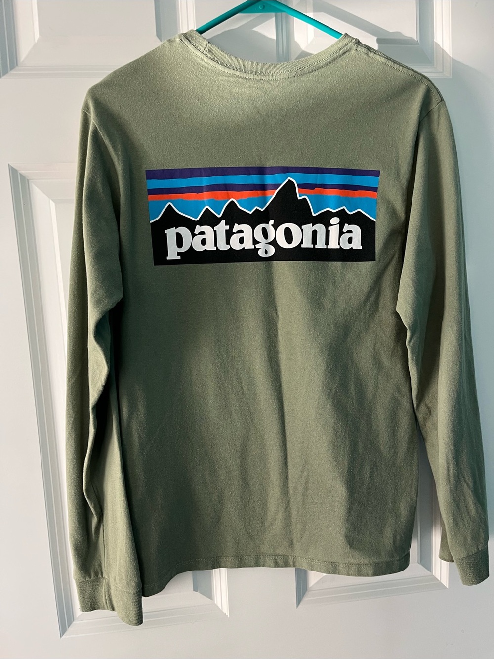 Patagonia XS long sleeve shirt